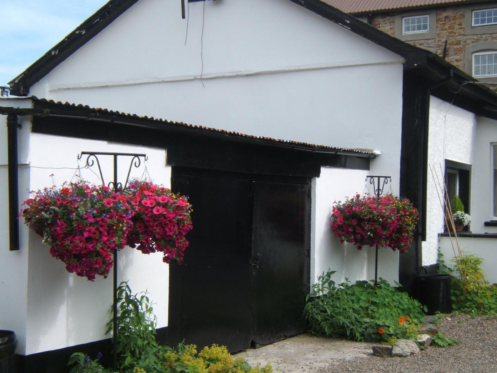 Faythe Guesthouse Уексфорд Екстериор снимка